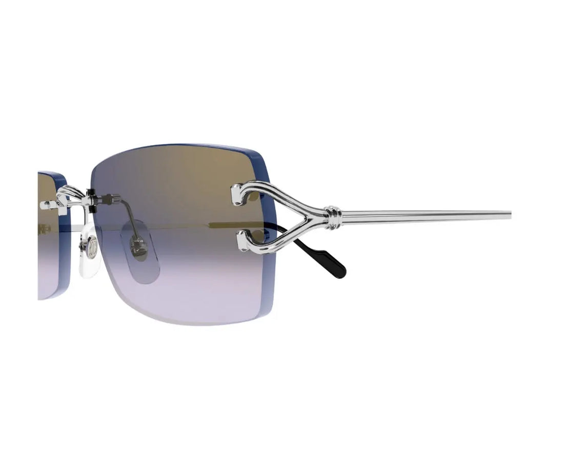 Cartier 0550S 003 56