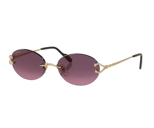 Cartier 0551S 006 55
