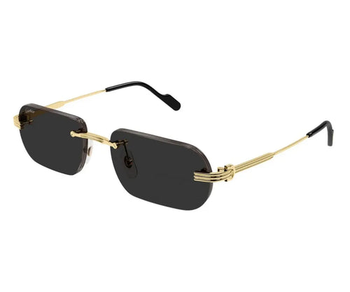 Cartier 0577S 001 55