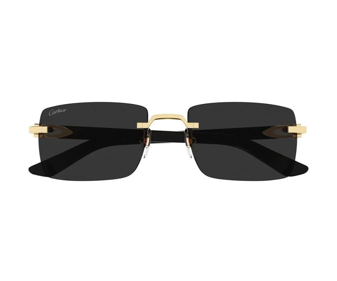Cartier 0579S 001 55