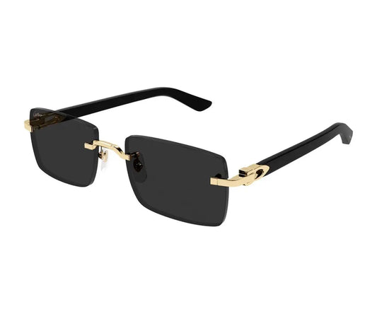 Cartier 0579S 001 55 Cartier