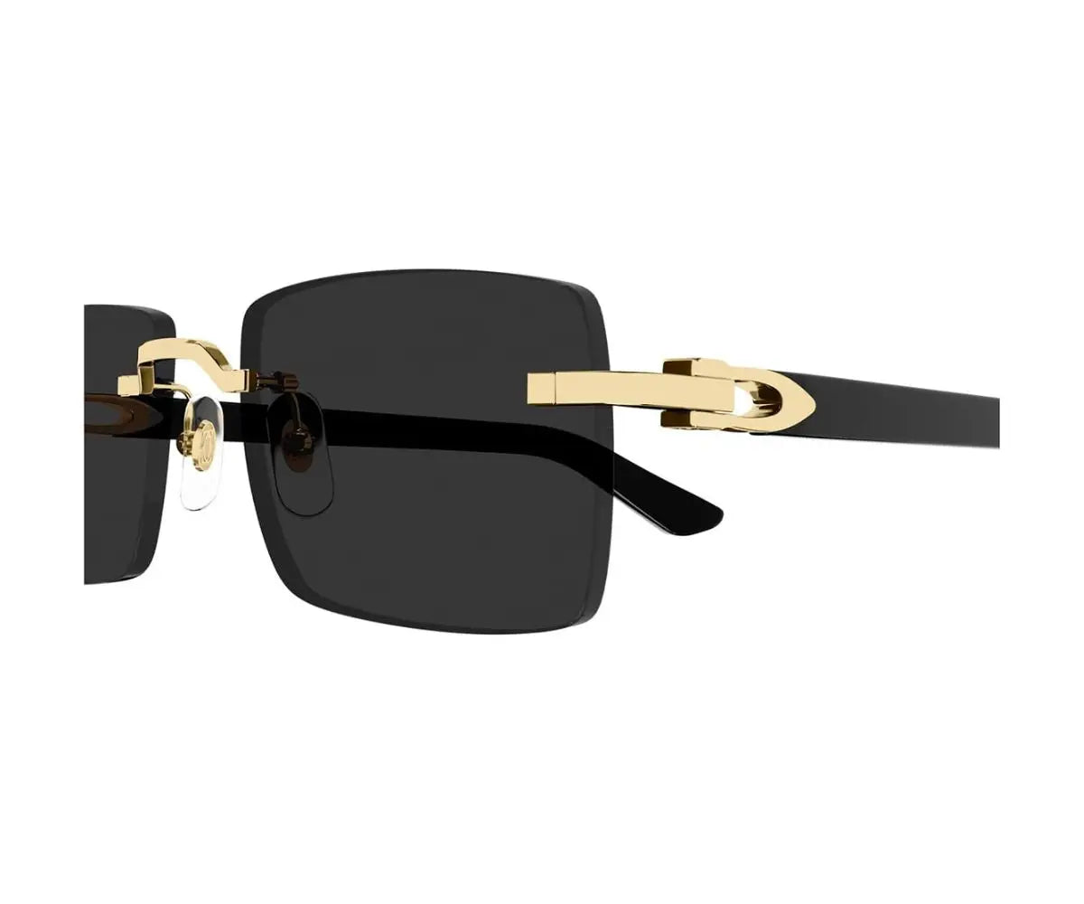 Cartier 0579S 001 55 Cartier