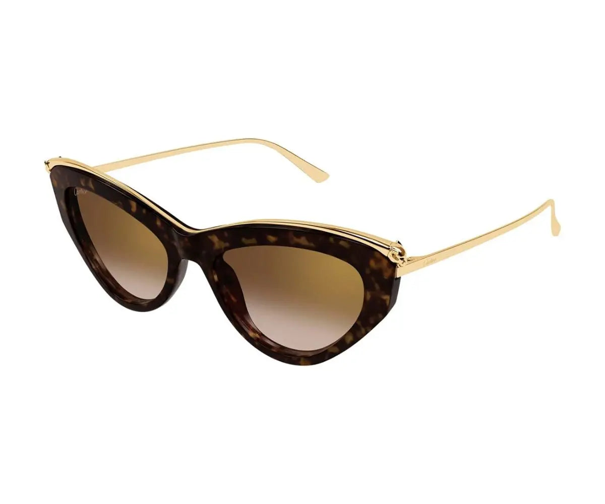 Sunglasses with tortoiseshell frame and gold accents on a white background