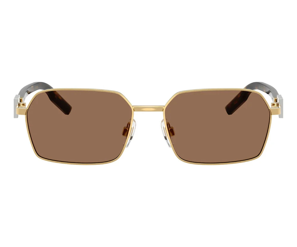Dolce & Gabbana DG2316 02/73