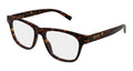 002 havana tortoise