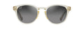 Shiny Trans Yellow  Neutral Grey