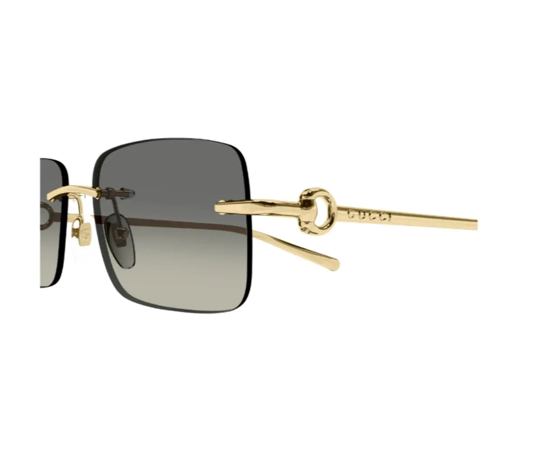 Gucci GG1703S 005 55