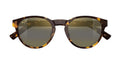 Shiny Dark Havana  HCL® Bronze