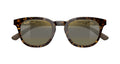 Shiny Dark Havana  HCL® Bronze
