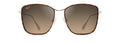 Dark Tortoise with Gold  HCL® Bronze