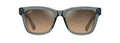 Shiny Trans Dark Grey  HCL® Bronze