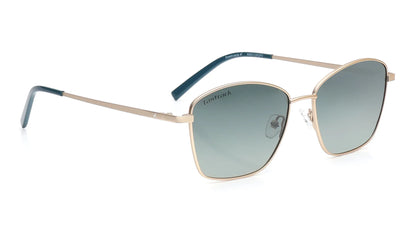 FASTRACK M8031GR3PV 01AM