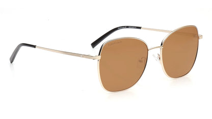 FASTRACK M8034BR1PV 01AM