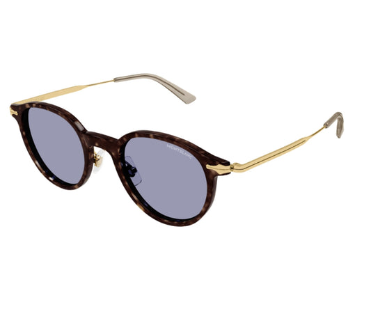 Sunglasses with tortoiseshell frame and gold accents on a white background