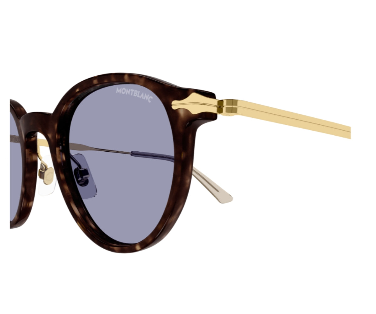 Sunglasses with tortoiseshell frame and gold accents on a white background
