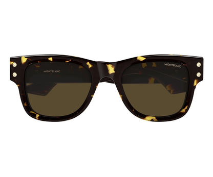 Tortoiseshell sunglasses with gold accents on a white background