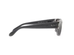 RB 4388 6647/G3 55 RAY-BAN