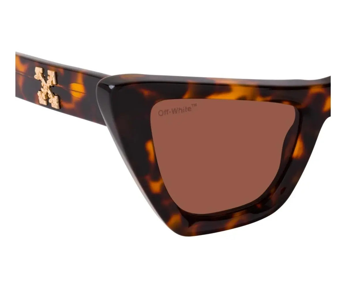 Tortoiseshell sunglasses with brown lens on a white background