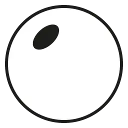 Circular Bifocal KT