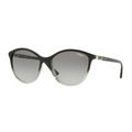 88011 - Transparent Grey Gradient Black